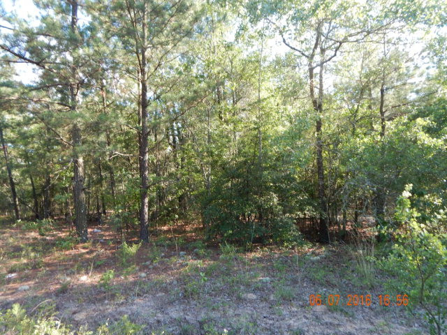 O Brighthop Road Edgefield, SC 29824 - Photo 3 of 3