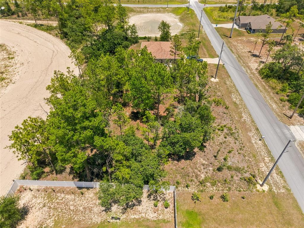 2 Ruffed Grouse Road Weeki Wachee, FL 34614 - Photo 11 of 11