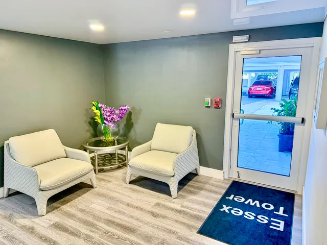 a living room with furniture and a rug