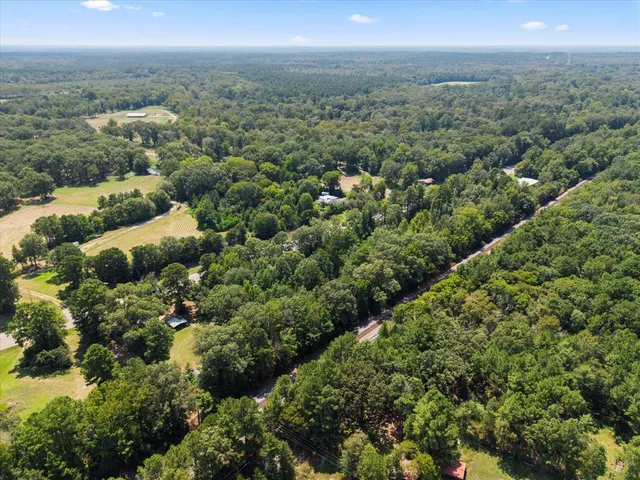 an aerial view of residential houses with outdoor space and trees
