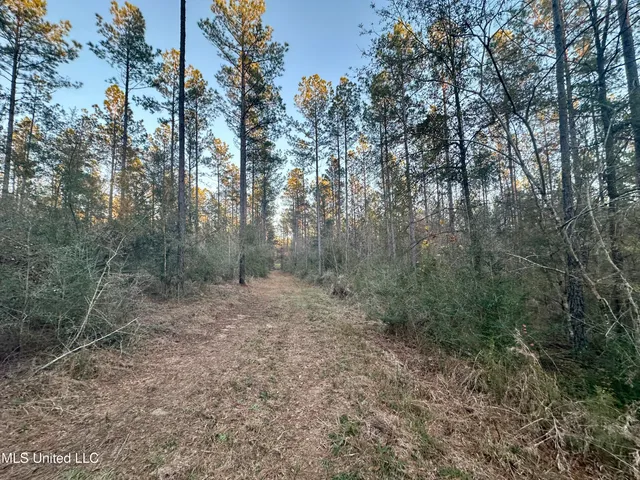 $199,995 | 0 Monticello Road, Wesson, MS 39191