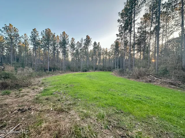 $199,995 | 0 Monticello Road, Wesson, MS 39191