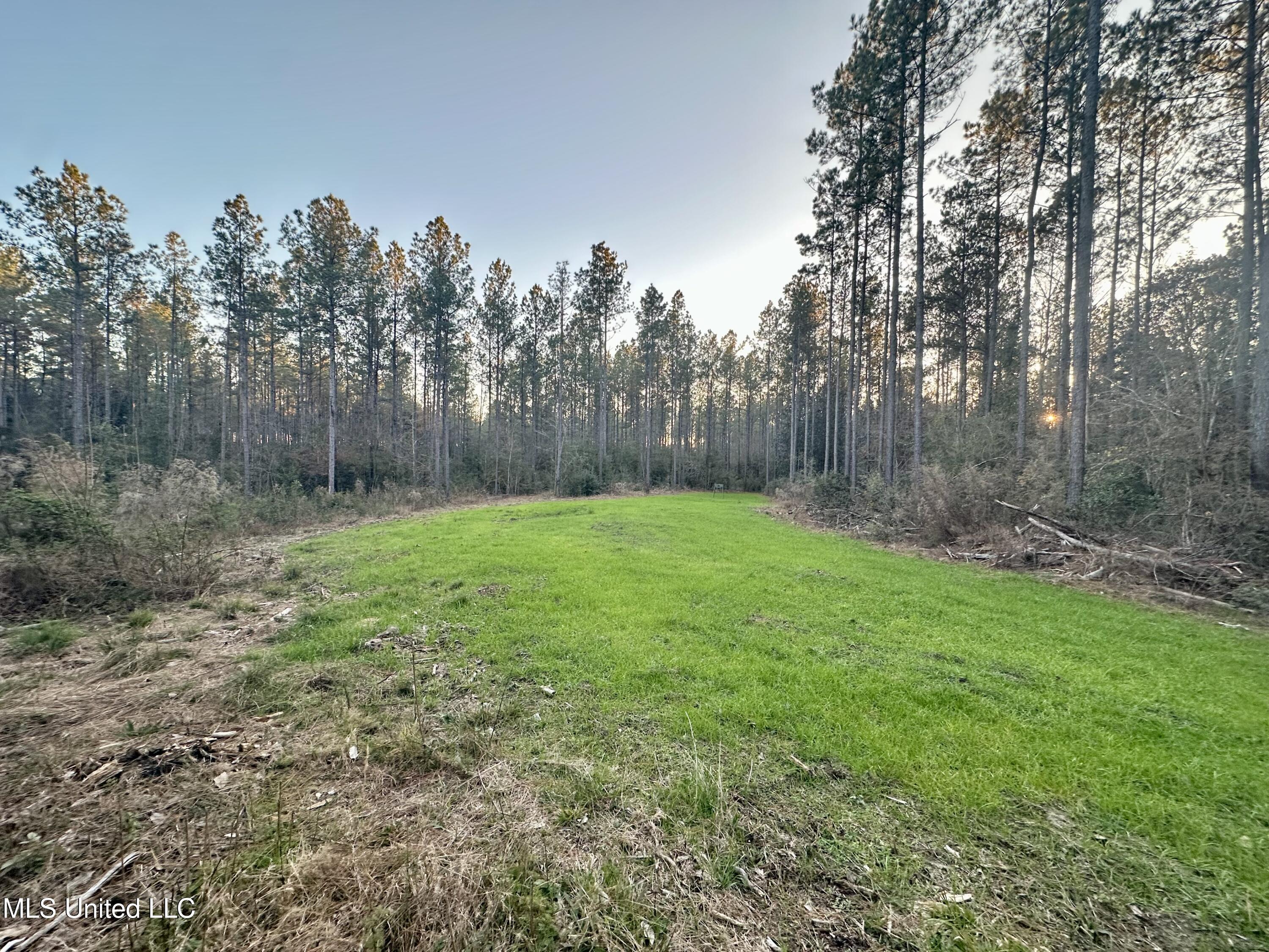 0 Monticello Road Wesson, MS 39191 - Photo 3 of 9 Photo Dec 09 2025, 4 35 06 PM