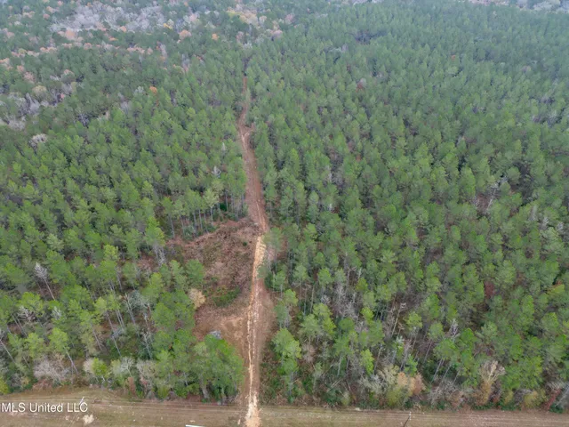 $199,995 | 0 Monticello Road, Wesson, MS 39191