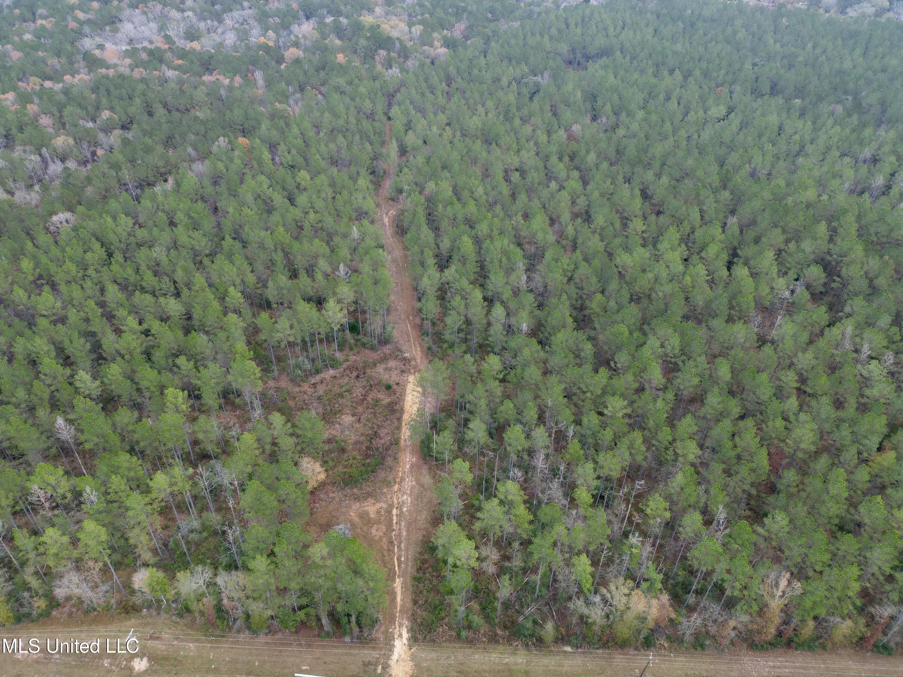 0 Monticello Road Wesson, MS 39191 - Photo 4 of 9 Photo Dec 12 2025, 5 36 00 AM