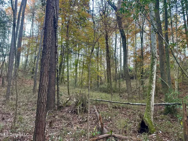 $192,000 | 0 Monticello Road, Wesson, MS 39191