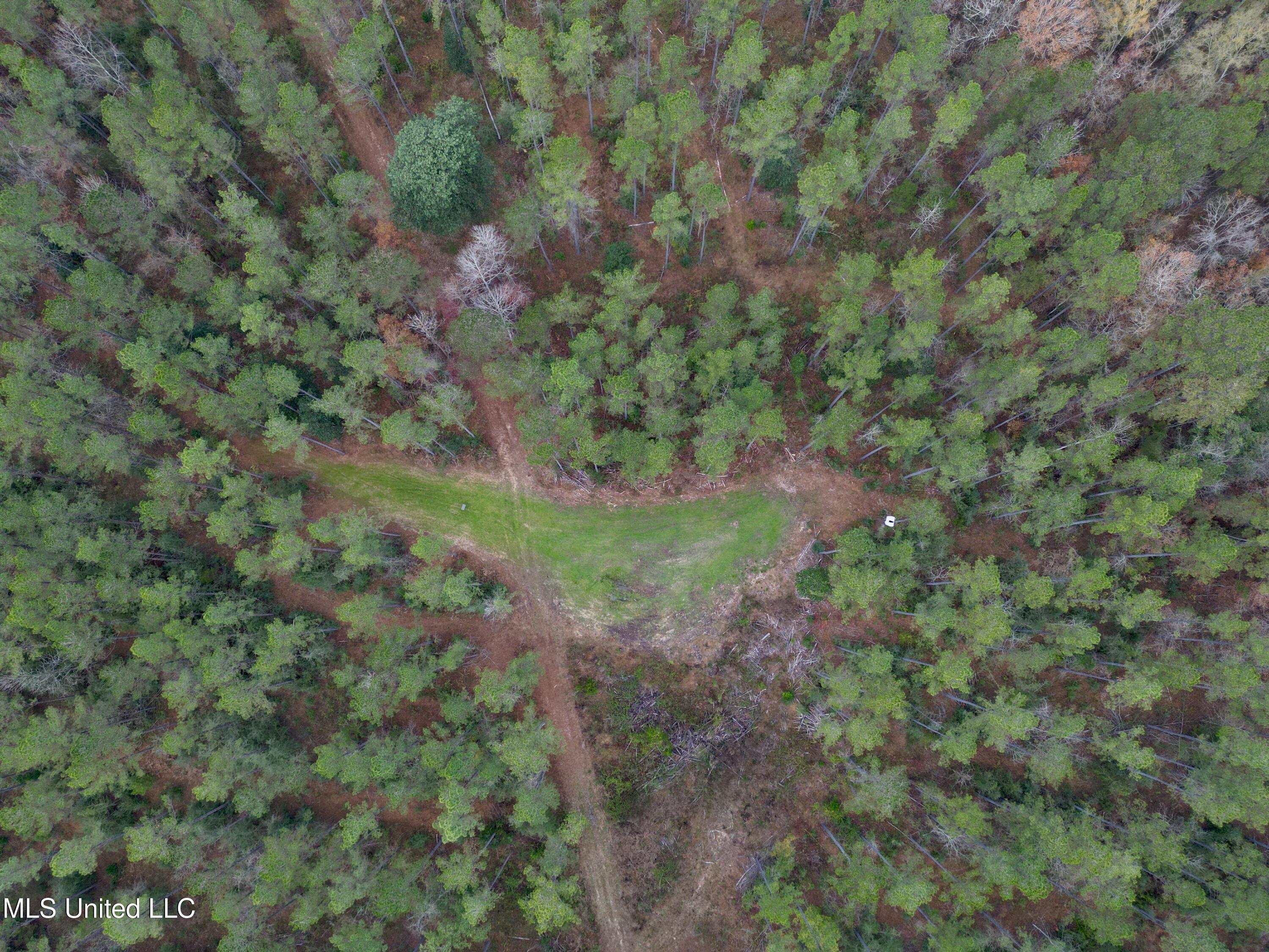 0 Monticello Road Wesson, MS 39191 - Photo 6 of 9 Photo Dec 12 2025, 5 37 40 AM