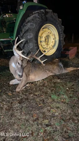 $192,000 | 0 Monticello Road, Wesson, MS 39191