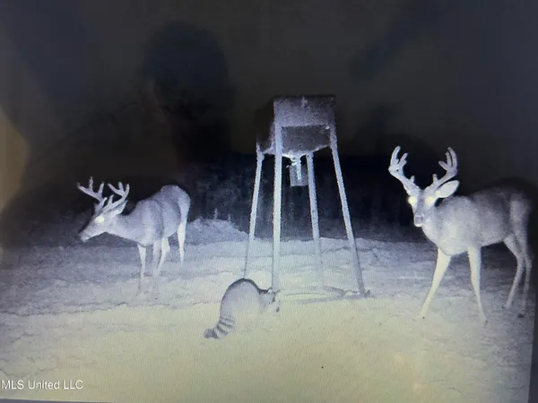 $192,000 | 0 Monticello Road, Wesson, MS 39191