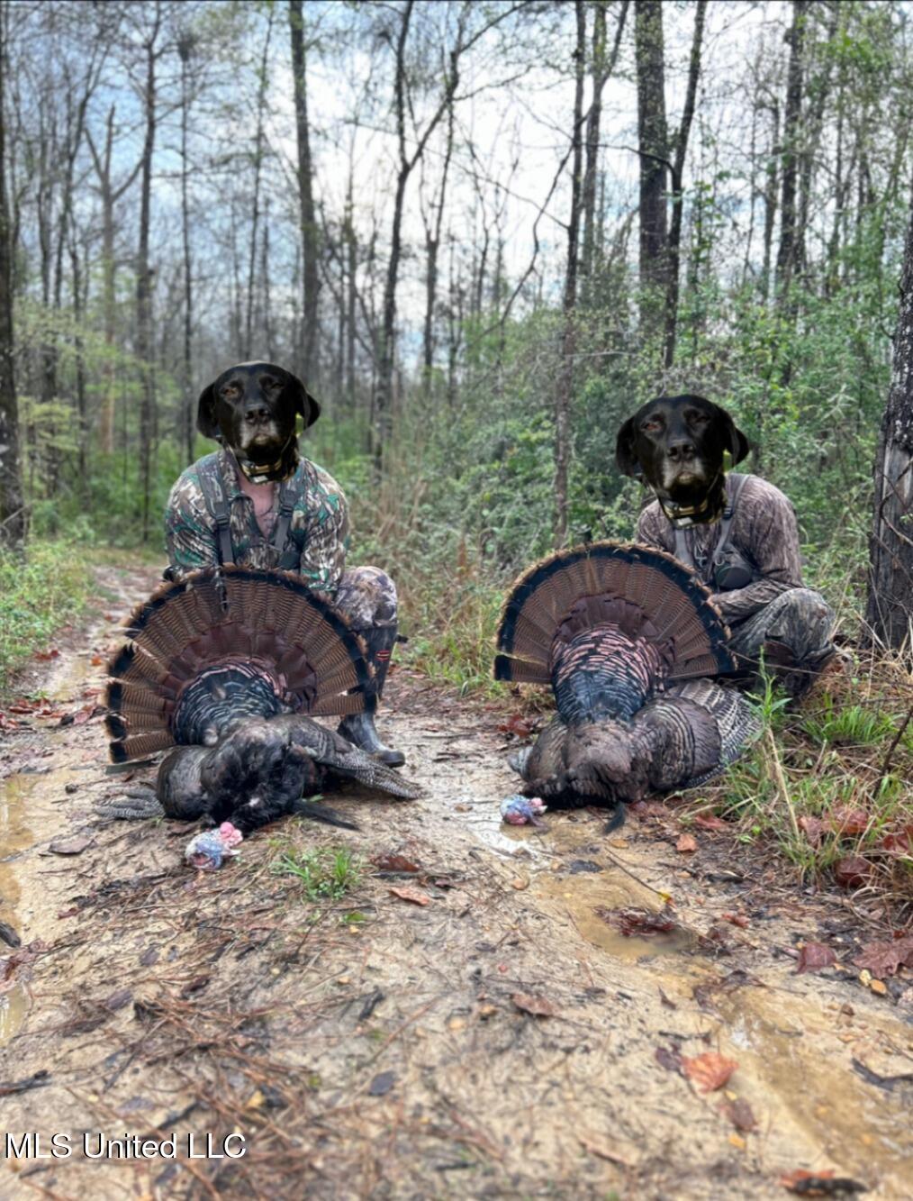 0 Monticello Road Wesson, MS 39191 - Photo 9 of 9 Photo Dec 11 2025, 8 07 44 PM (edited)