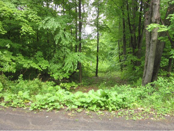 0 Russell Road Newark Valley, NY 13811 - Photo 11 of 13 Gallery Image 11