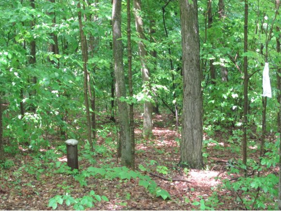 0 Russell Road Newark Valley, NY 13811 - Photo 12 of 13 Gallery Image 12