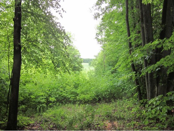 0 Russell Road Newark Valley, NY 13811 - Photo 13 of 13 Gallery Image 13