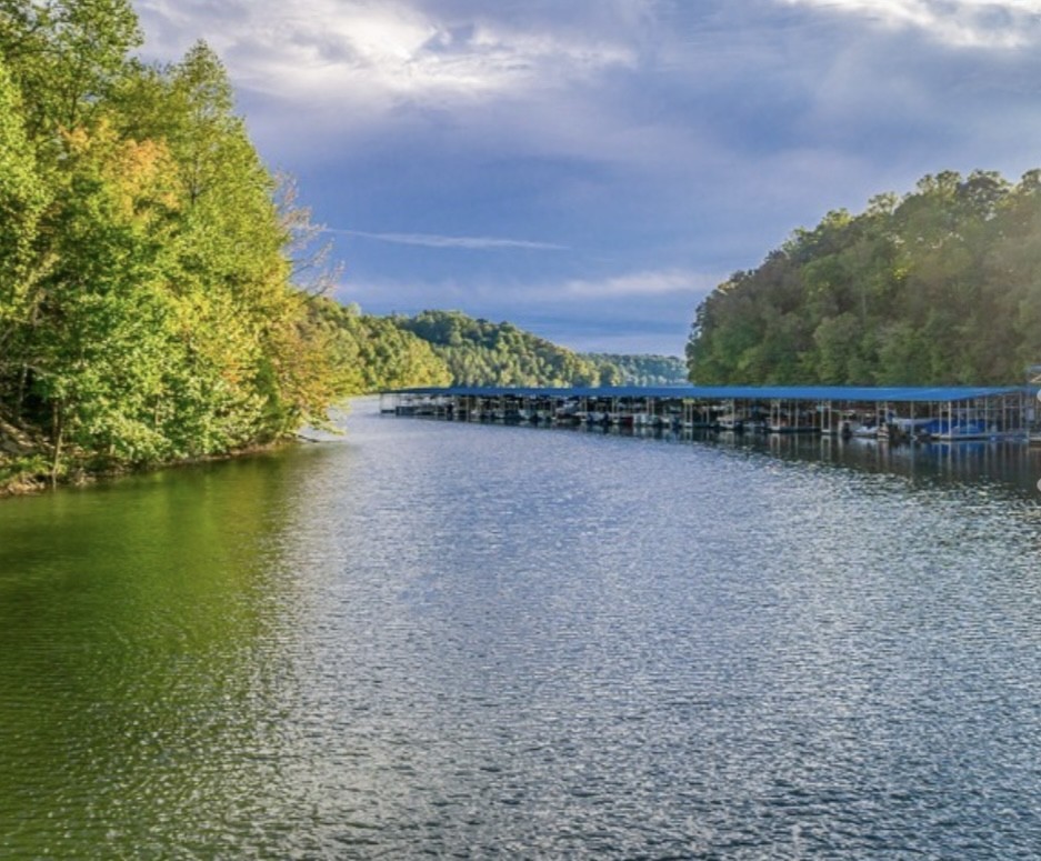 324 Evans Drive Tullahoma, TN 37388 - Photo 7 of 53 a view of a lake with a city