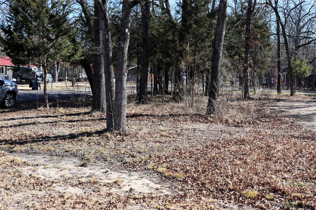 Tbd Live Oak Street Quinlan, TX 75474 - Photo 13 of 16 a view of a backyard with trees