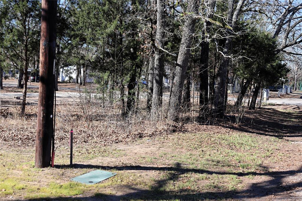 Tbd Live Oak Street Quinlan, TX 75474 - Photo 14 of 16 a view of a yard with large trees