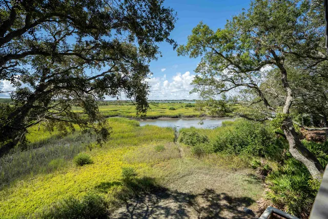 a view of yard with green space