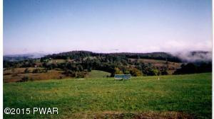 Marks Road Damascus, PA 18415 - Photo 2 of 5