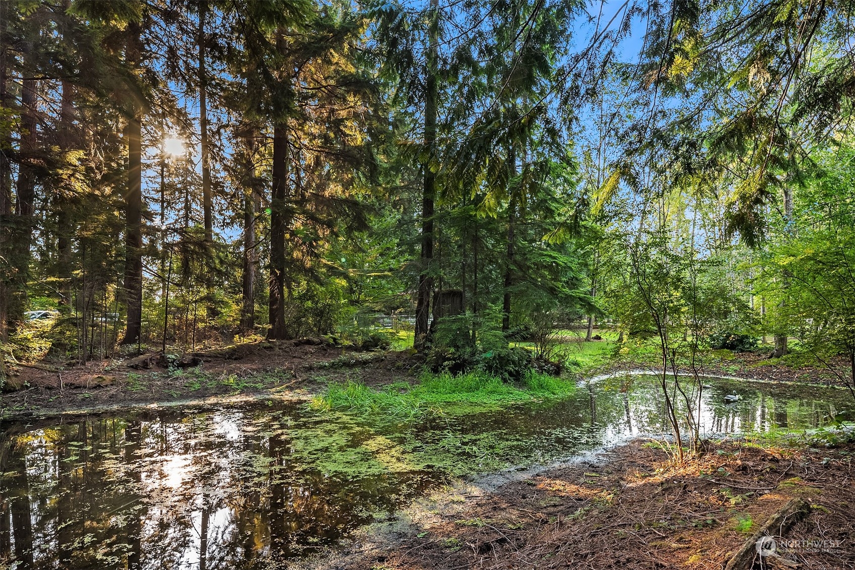 13412 Batten Road Northeast Duvall, WA 98019 - Photo 9 of 40 Gallery Image 9