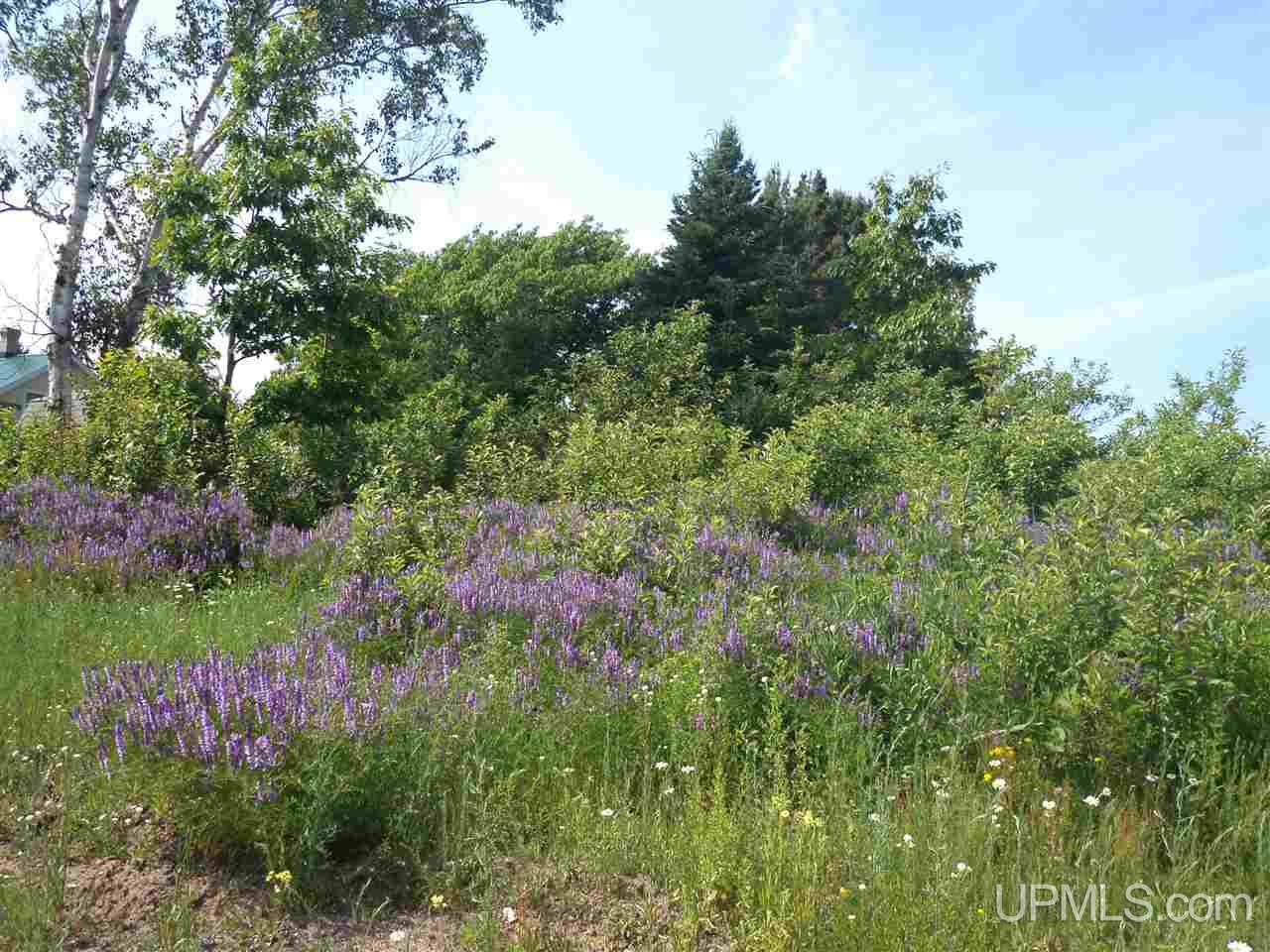 Tbd Third & Cedar Mohawk, MI 49950 - Photo 4 of 6