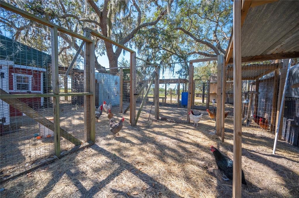 4900 J Jackson Road Fort Meade, FL 33841 - Photo 71 of 97