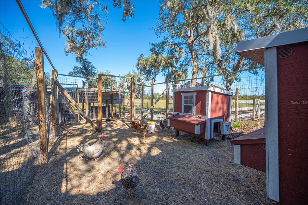 4900 J Jackson Road Fort Meade, FL 33841 - Photo 72 of 97