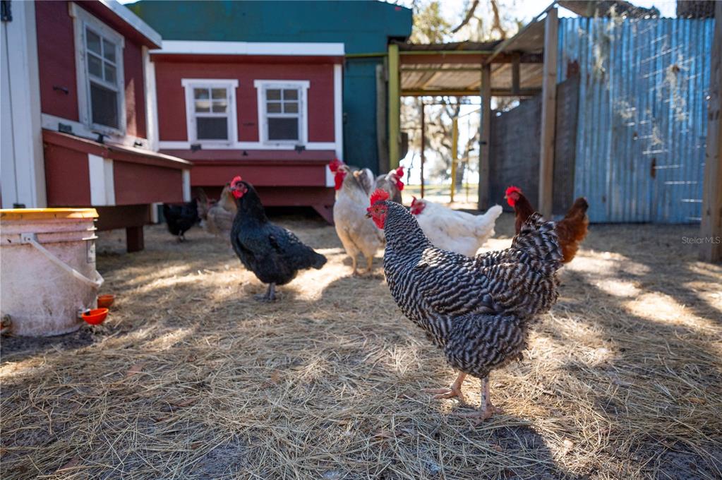 4900 J Jackson Road Fort Meade, FL 33841 - Photo 75 of 97