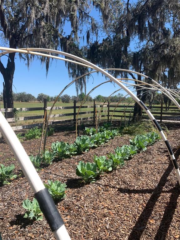 4900 J Jackson Road Fort Meade, FL 33841 - Photo 76 of 97 a house with trees in the background