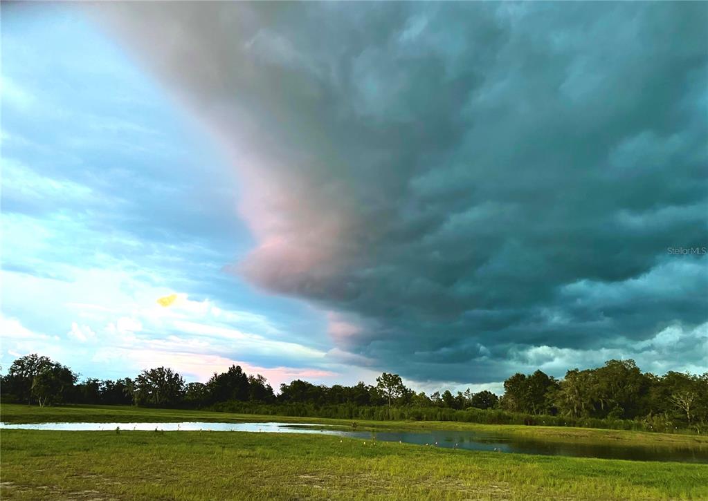 4900 J Jackson Road Fort Meade, FL 33841 - Photo 80 of 97