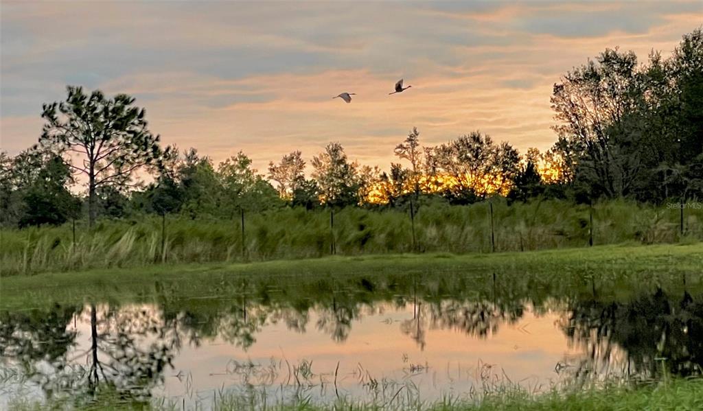 4900 J Jackson Road Fort Meade, FL 33841 - Photo 84 of 97