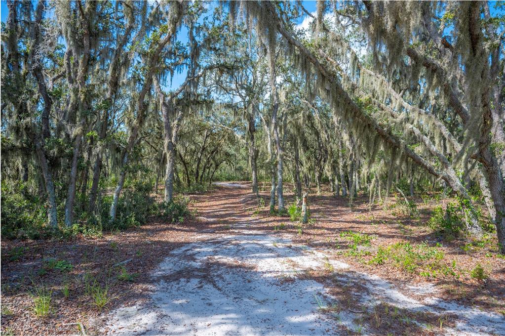 4900 J Jackson Road Fort Meade, FL 33841 - Photo 87 of 97