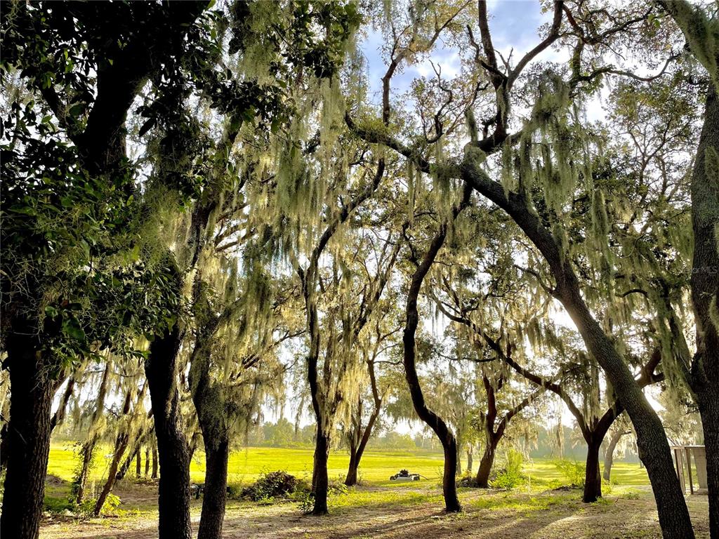 4900 J Jackson Road Fort Meade, FL 33841 - Photo 89 of 97