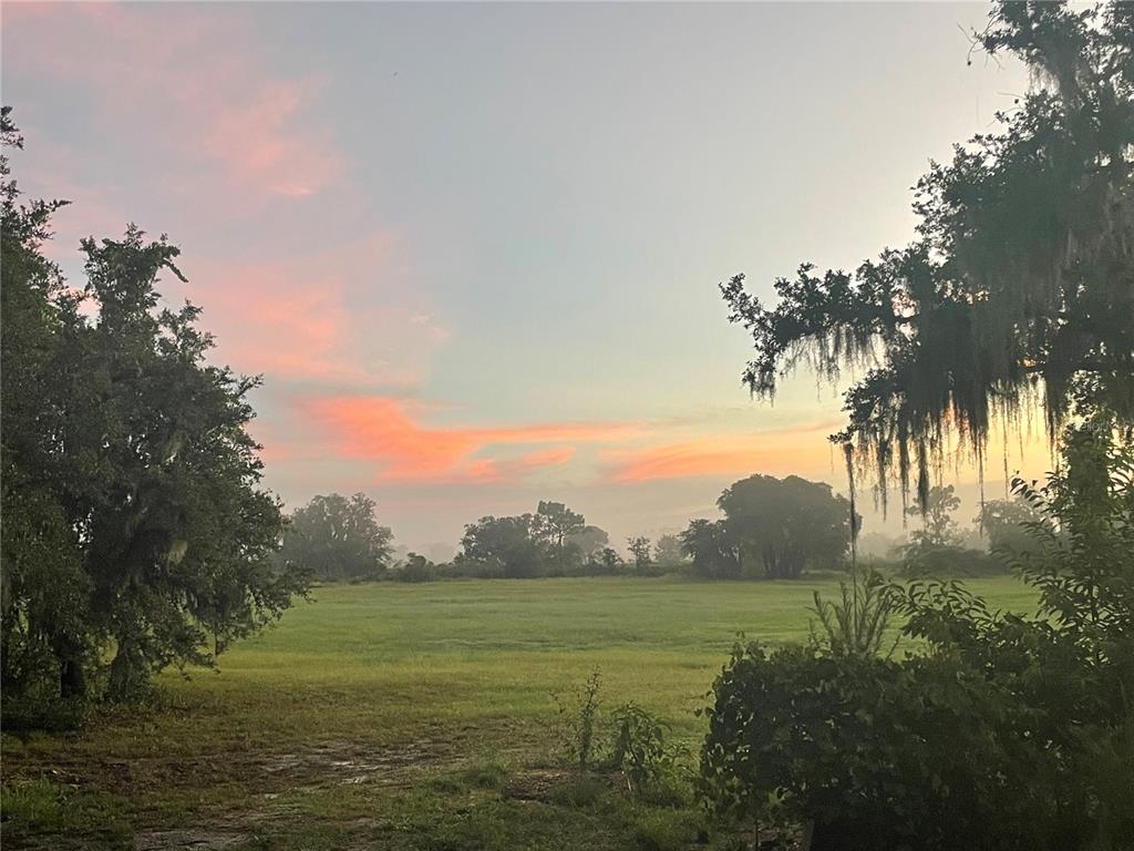 4900 J Jackson Road Fort Meade, FL 33841 - Photo 93 of 97