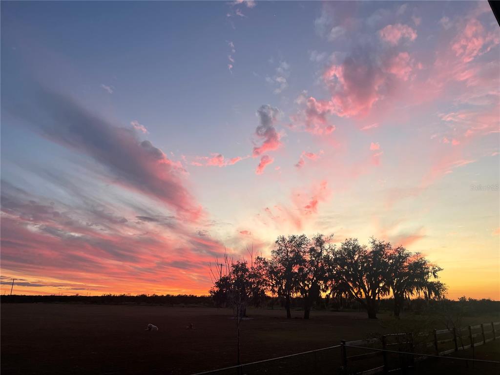 4900 J Jackson Road Fort Meade, FL 33841 - Photo 94 of 97