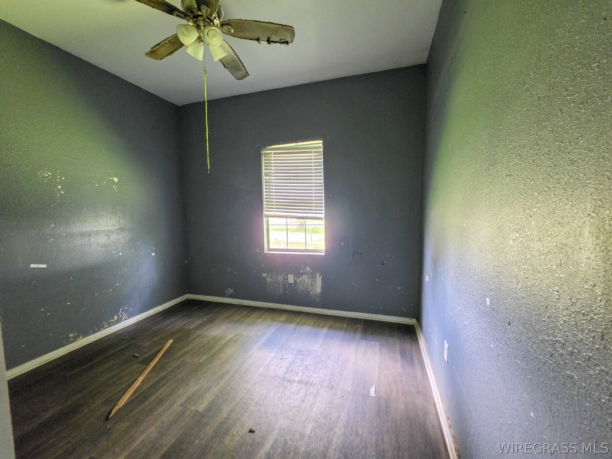 12 North Ripley Street Samson, AL 36477 - Photo 11 of 12 Gallery Image 11