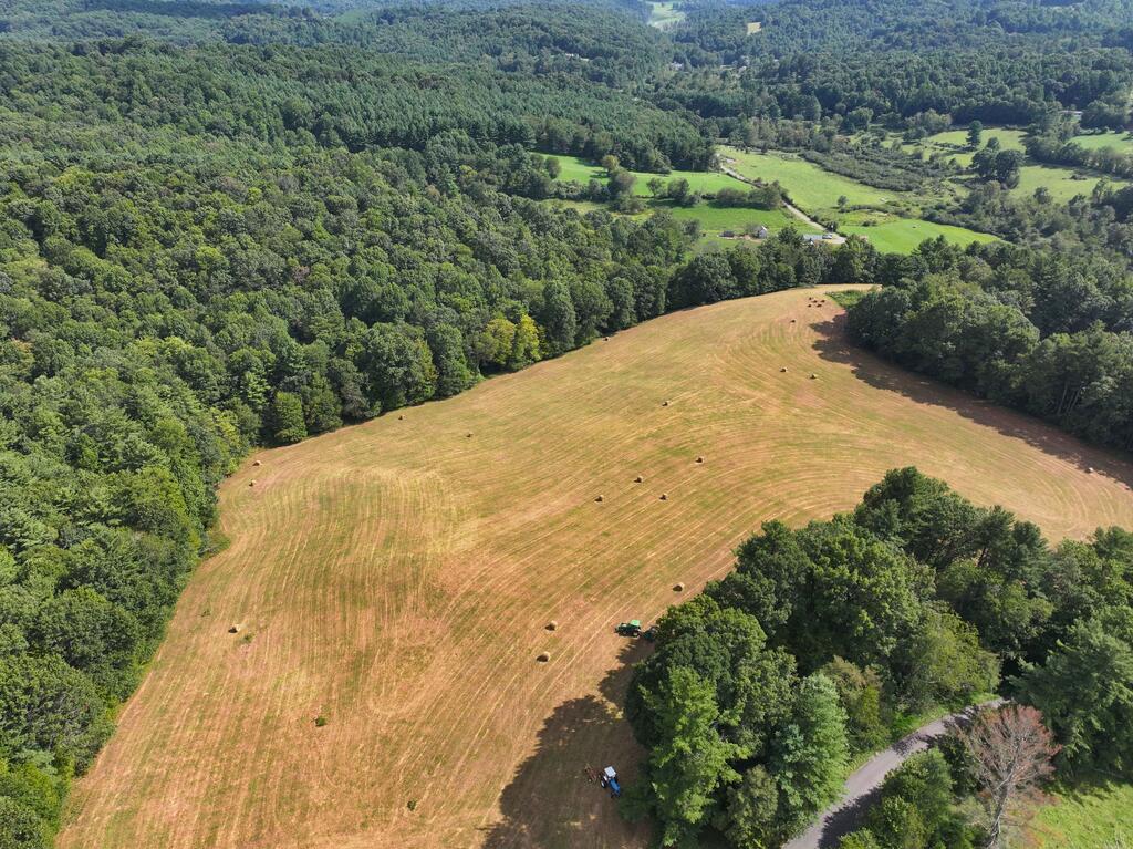 0 Northwest Shady Grove Road Willis, VA 24380 - Photo 3 of 25 Gallery Image 3