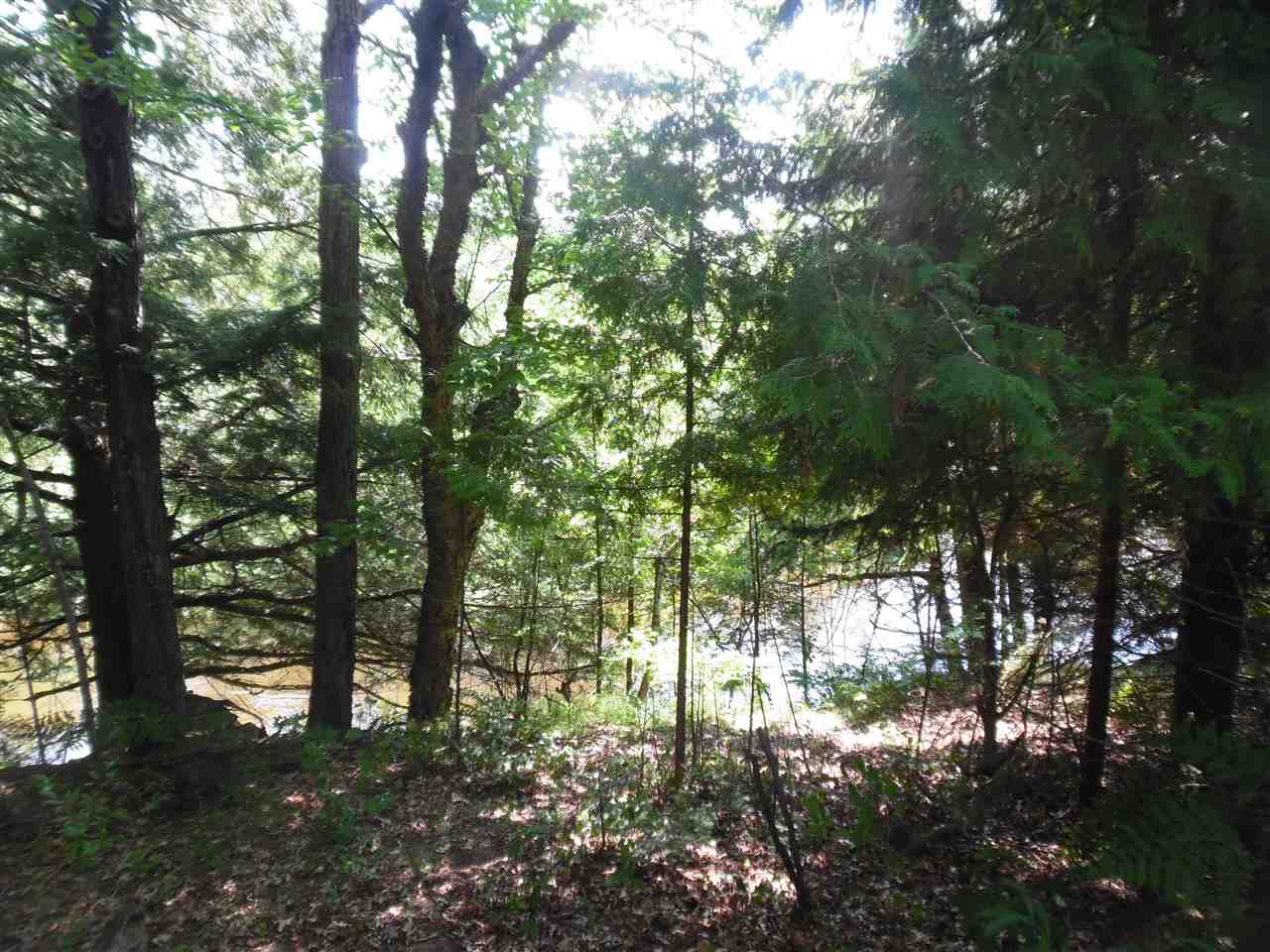 11522 Mulder Road Falmouth, MI 49632 - Photo 39 of 40 1819787-41.JPG
