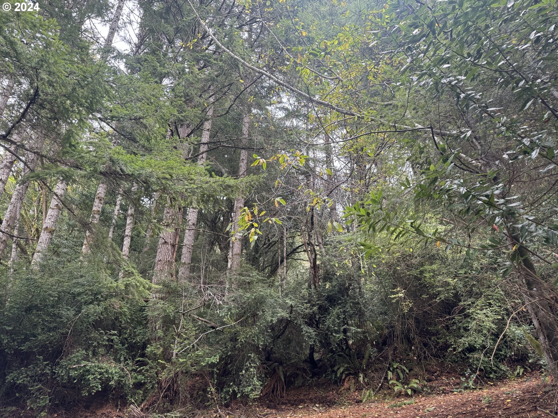 0 Potato Bottom Road, Unit 603 Lakeside, OR 97449 - Photo 17 of 27