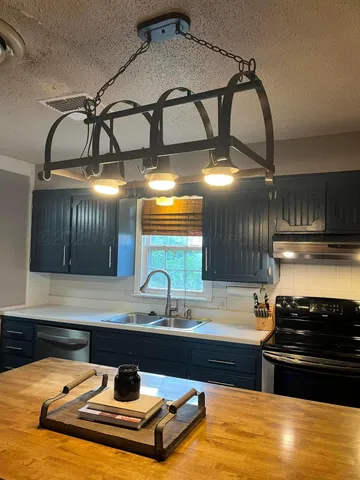 a kitchen with a sink cabinets and stainless steel appliances