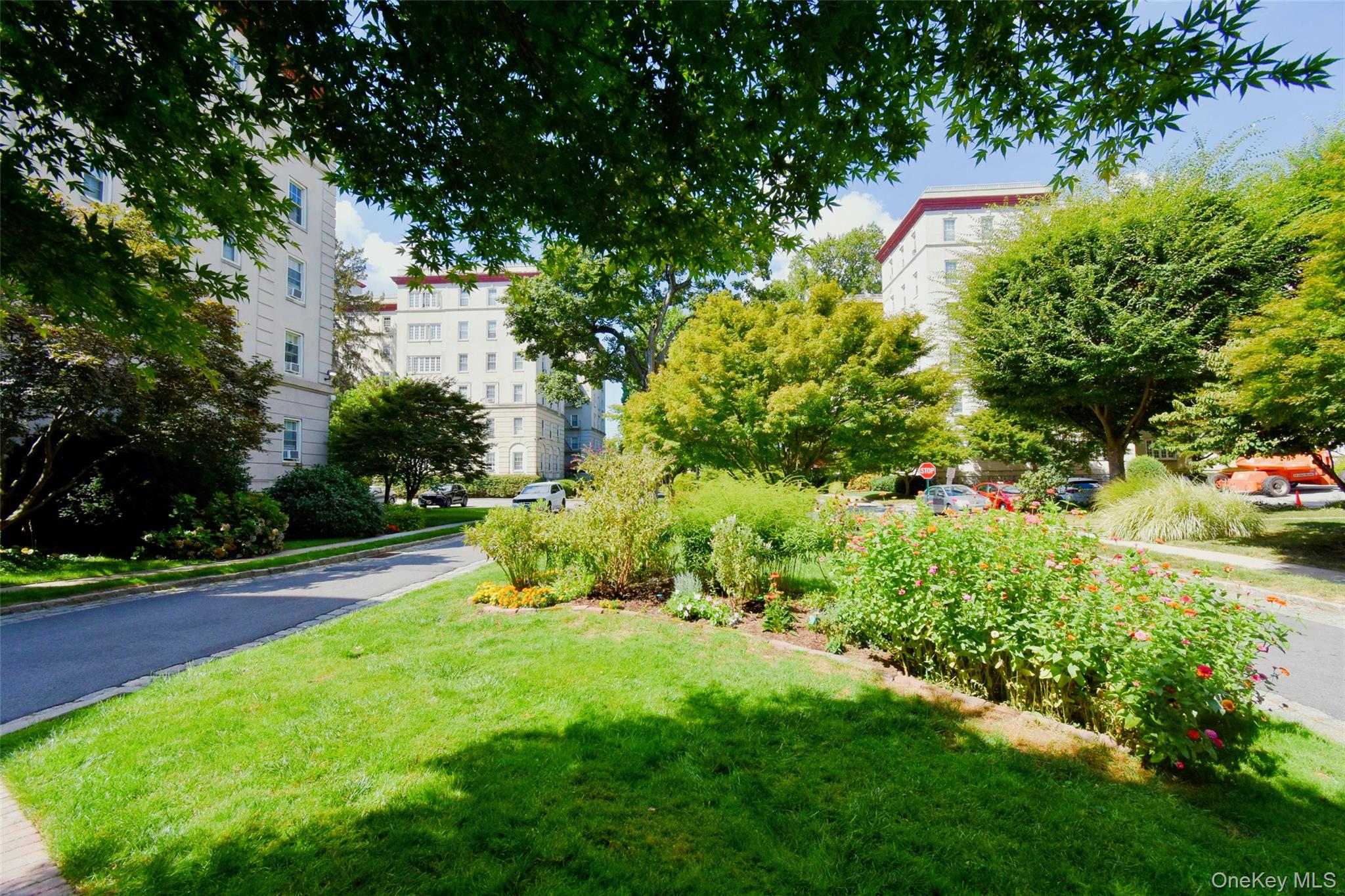 4 Park Lane, Unit 4B Mount Vernon, NY 10552 - Photo 14 of 19 a view of a garden with plants