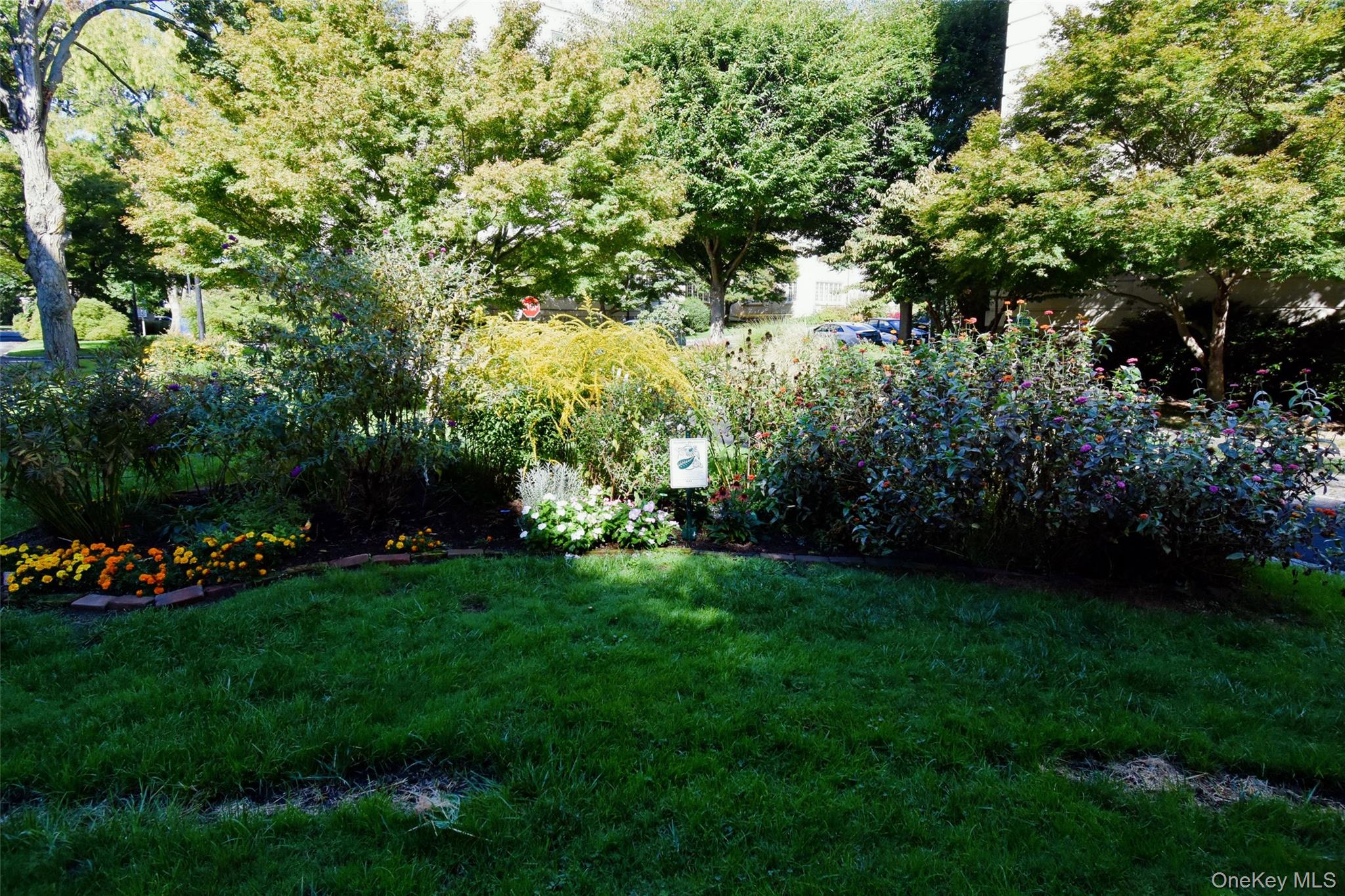 4 Park Lane, Unit 4B Mount Vernon, NY 10552 - Photo 15 of 19 a view of a garden with flowers and trees