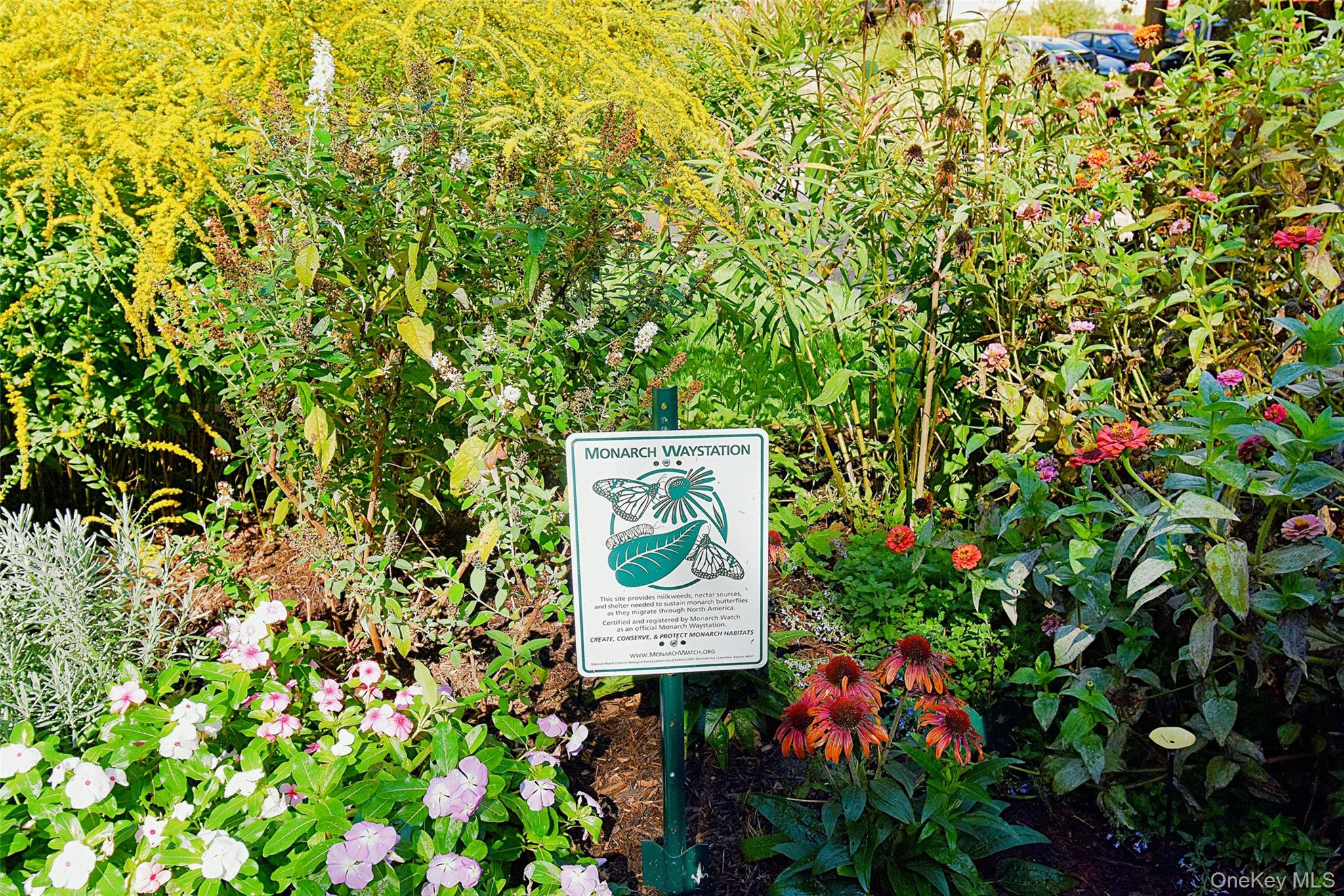 4 Park Lane, Unit 4B Mount Vernon, NY 10552 - Photo 16 of 19 a sign that is sitting in a garden