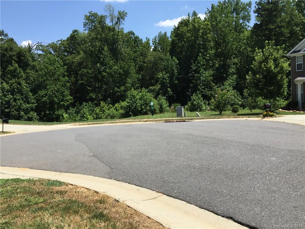 12910 Rothe House Road Charlotte, NC 28273 - Photo 24 of 24
