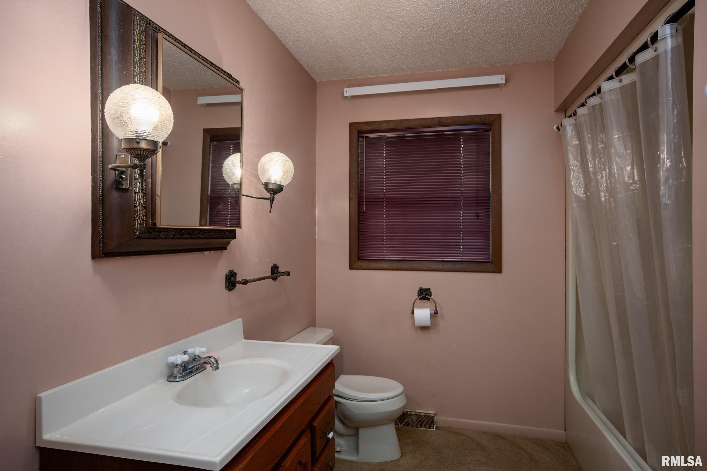 17209 Canaville Road Creal Springs, IL 62922 - Photo 16 of 35
