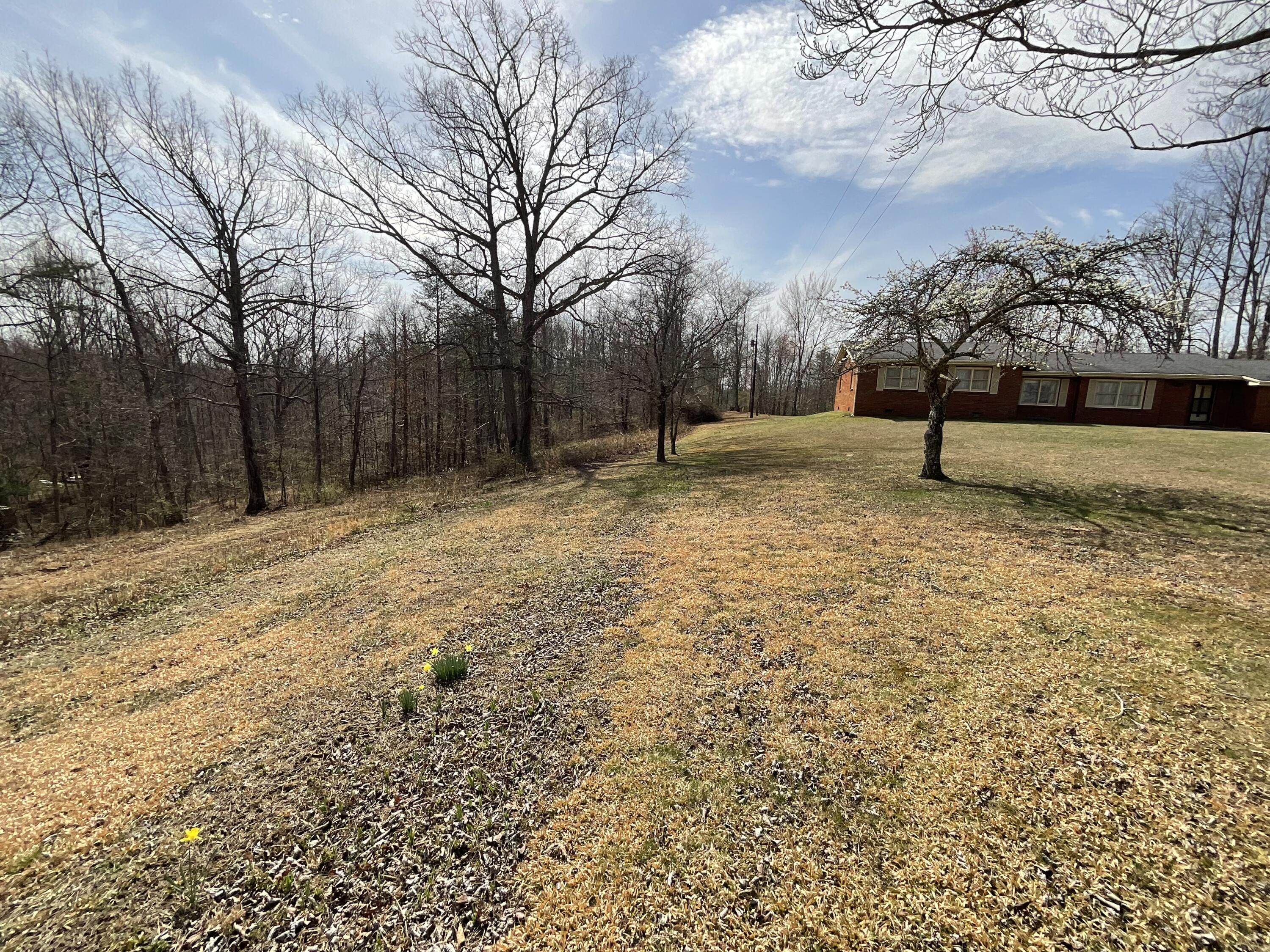 473 Corner Ridge Road Frenchburg, KY 40322 - Photo 43 of 45 IMG_1077