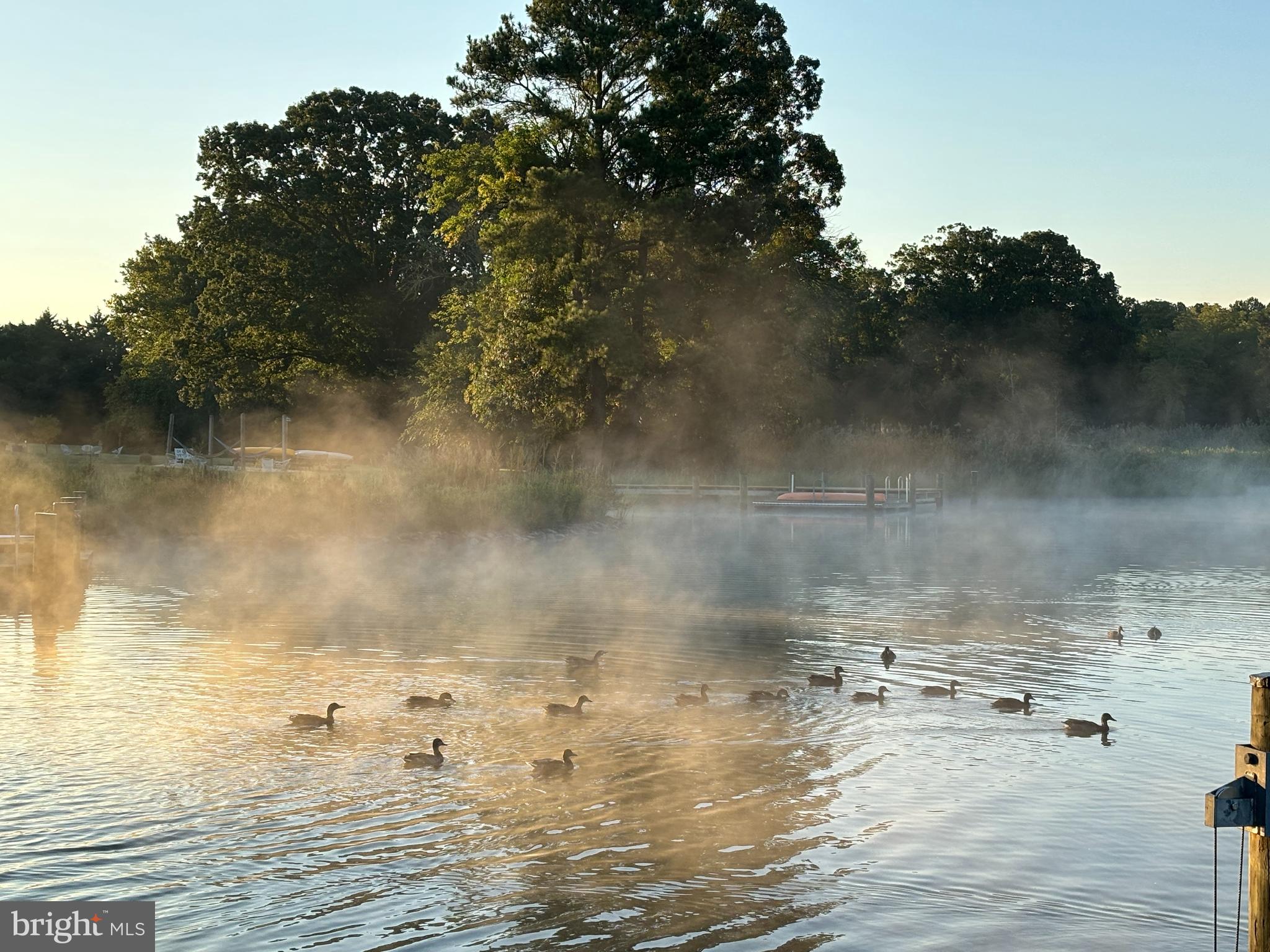 8645 Northbend Circle Easton, MD 21601 - Photo 69 of 70 Mist on Chapel Cove