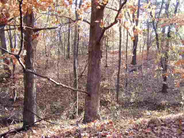 456 Lakeview Road North Dahinda, IL 61428 - Photo 5 of 9 Gallery Image 5