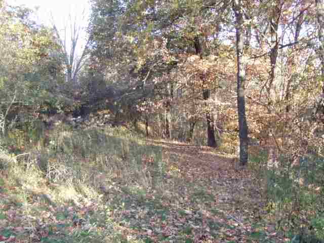456 Lakeview Road North Dahinda, IL 61428 - Photo 6 of 9 Gallery Image 6