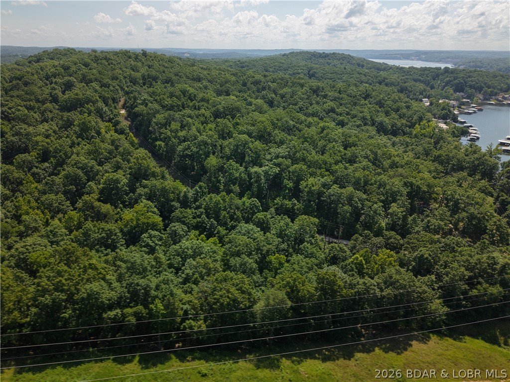 Lot 62 Venus Road Camdenton, MO 65020 - Photo 1 of 4