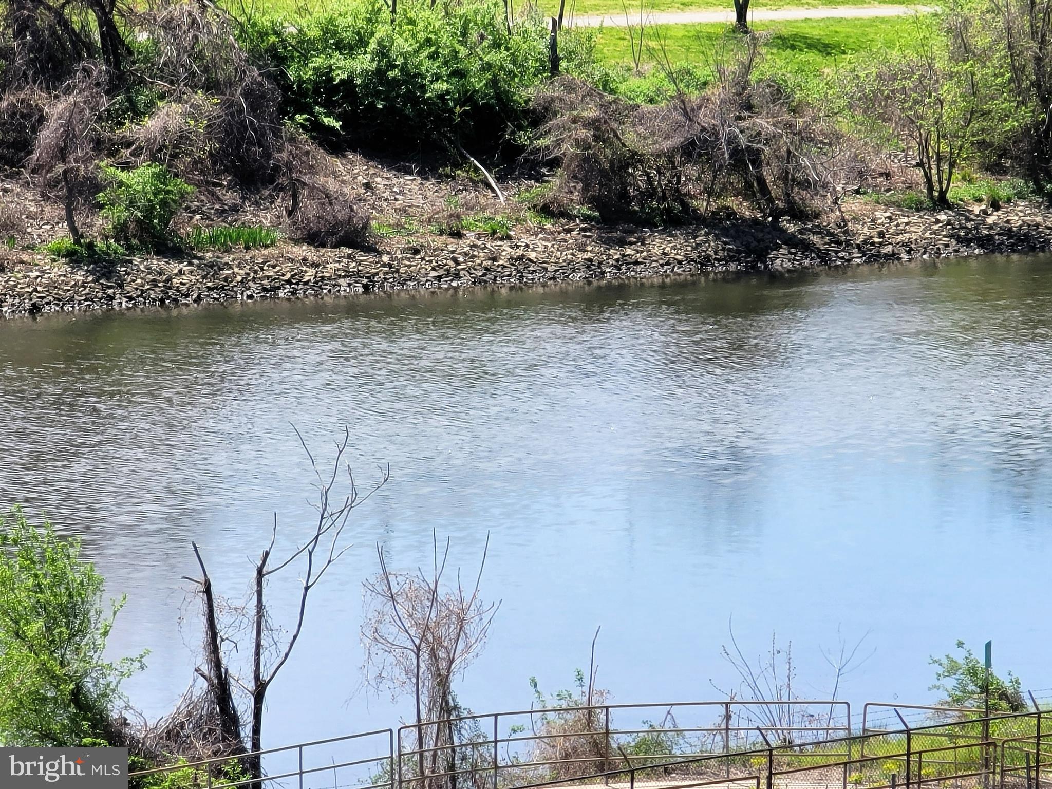 3600 South Glebe Road, Unit 602W Arlington, VA 22202 - Photo 35 of 46 a view of a lake with houses